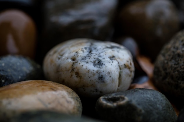 Macro close-up de pedras molhadas