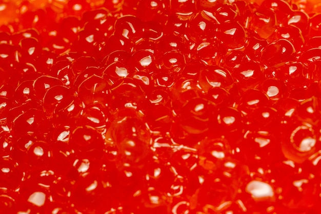 Macro de caviar vermelho