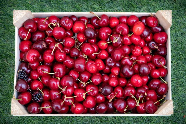 Macro de frutas orgânicas frescas. Fundo de frutas