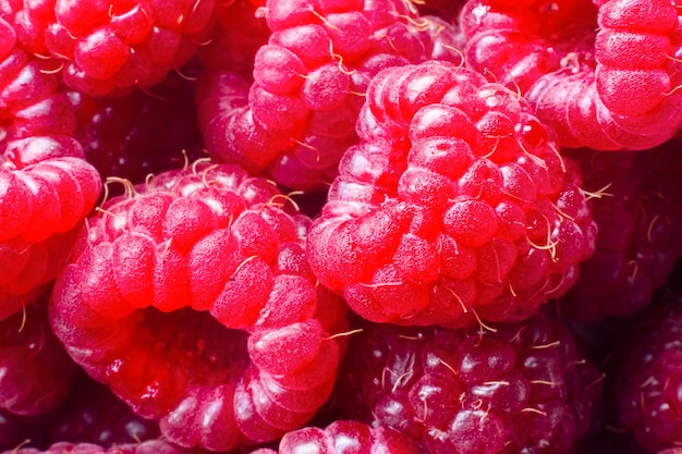 Macro de fundo de comida de framboesa vermelha madura closeup