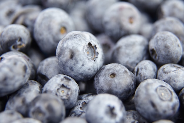 Macro de mirtilo fresco como plano de fundo de alimentos