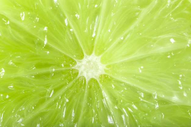 Macro estudio de una hermosa lima verde