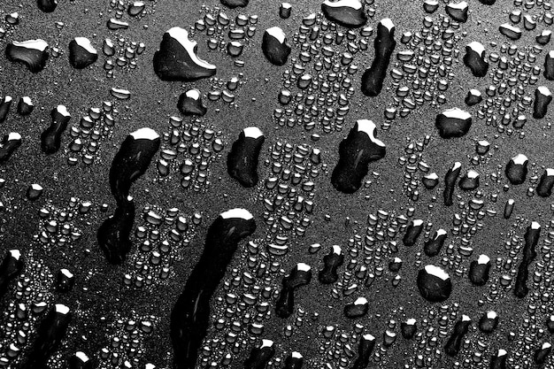 Macro de gotas de agua sobre un fondo negro