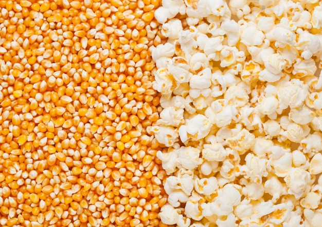 Macro de media placa de semillas de palomitas de maíz y palomitas de maíz crudas de oro