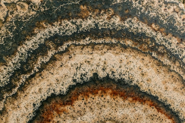Macro pedra mineral Datolitewollastonite Scarn em um fundo preto