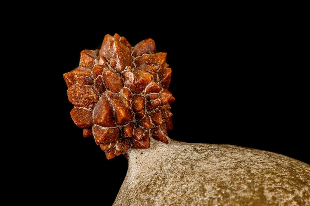 Macro piedra Ikaite mineral en roca sobre un fondo negro de cerca