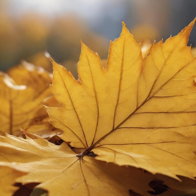 Macro textura de las hojas hoja amarilla de otoño agrandada macro textura concepto de fondo de otoño