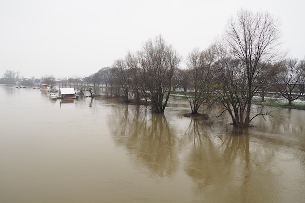 Macvanska Mitrovica Serbien 01272023 Die Brücke über den Fluss Sava Überschwemmungen nach starken Regenfällen und Schneeschmelze Ein schneller Fluss von schlammigem Wasser Bäume Boote und Pfeiler im Wasser Machva im Winter