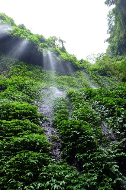 Madakaripura-Wasserfall