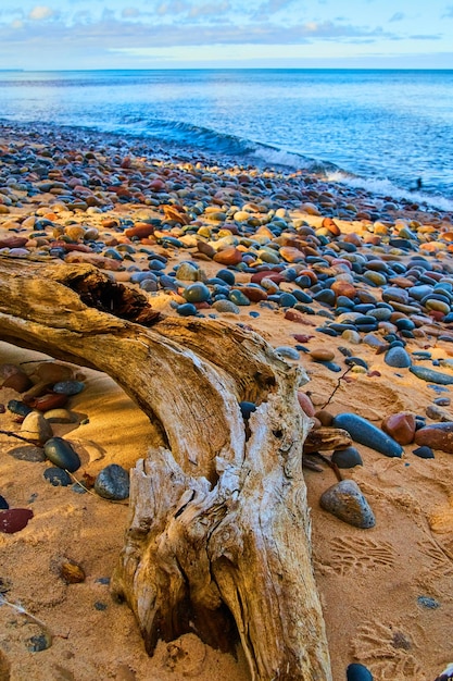 Madeira flutuante na costa arenosa com pedras molhadas e rochas de várias cores com águas azuis safira