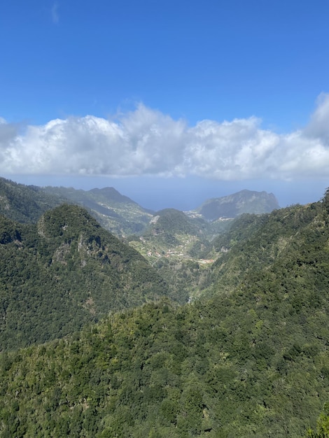 Madeira ist der älteste Ferienort Europas. Dies ist eine Bergregion des ewigen Frühlings, der in Blumen und grünen Bäumen ertrinkt