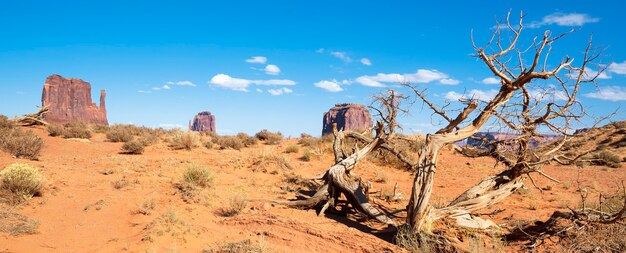 Madeira morta em Monument Valley, vista panorâmica, EUA