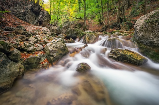 Madeiras de riacho de outono com folhagem de árvores amarelas e rochas na montanha da floresta.