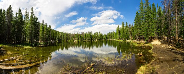 Madeiras perenes ao redor do panorama do lago Estes Park