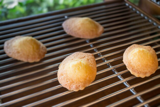 Madeleine fresco cozido na prateleira