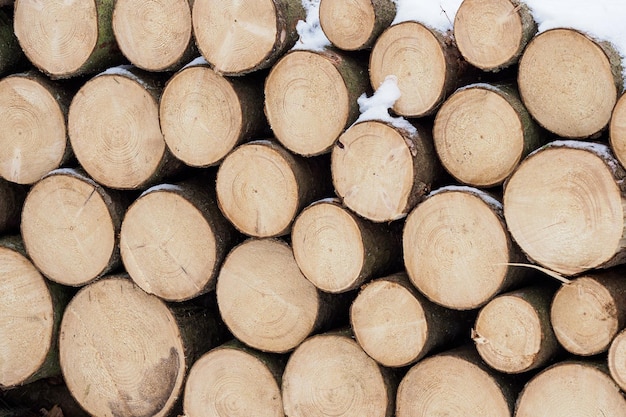 Madera de abeto en el fondo Pila de leña