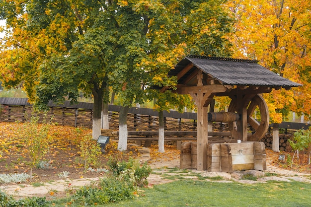 Madera bien debajo de un gran árbol de otoño. Casa de Campo