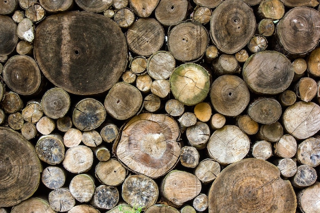 La madera cortada se arregla para ser la pared natural en la granja en Tailandia