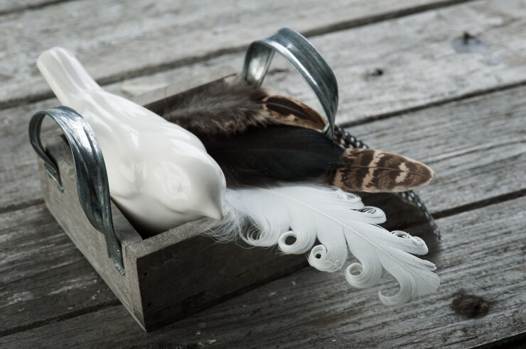 Foto madera degradada con plumas.