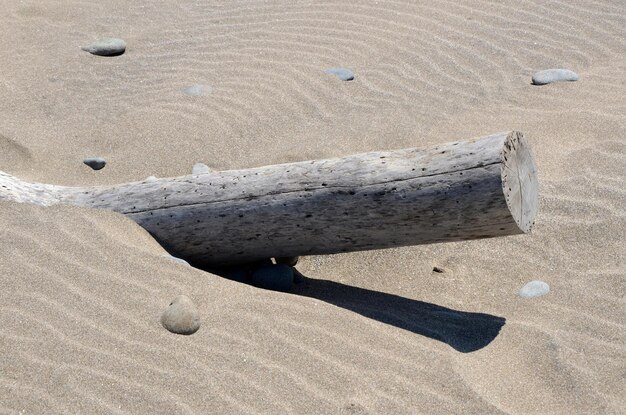 Madera a la deriva junto al mar