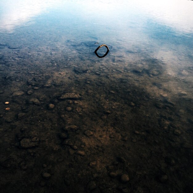 Foto madera a la deriva en el mar