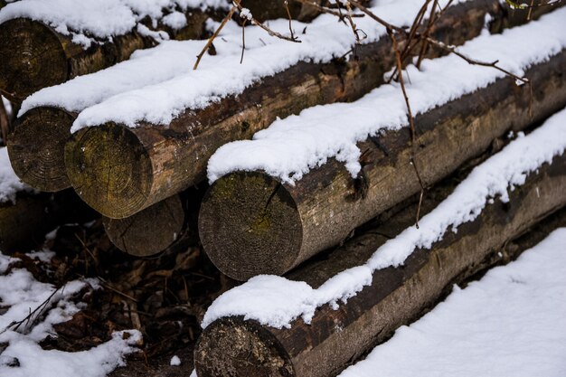 Madera a la espera de ser cortada en las ramas del aserradero y troncos sobre el césped bajo la primera nieve