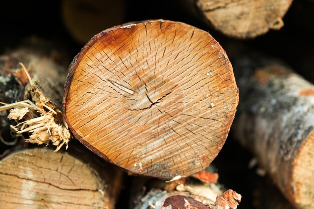 La madera está amontonada. Vista lateral. Foto de alta calidad