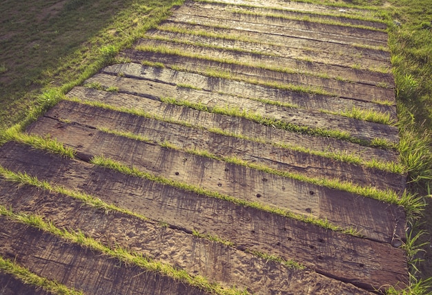 Madera y hierba bajo el sol