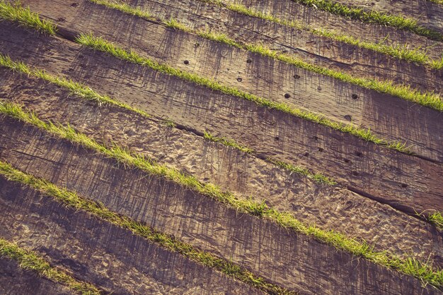 Madera y hierba bajo el sol