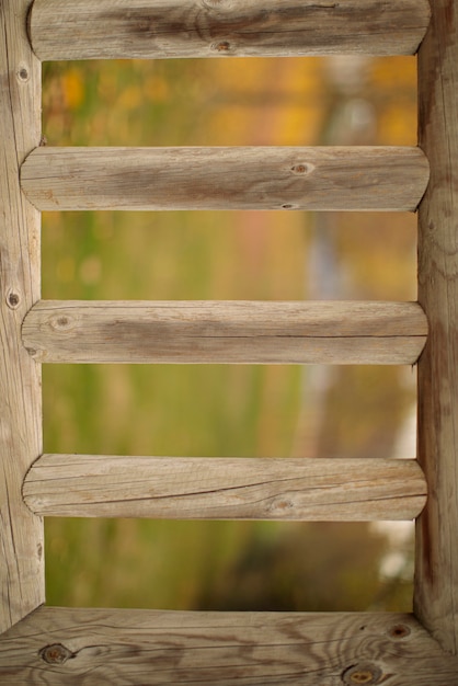 Madera con hojas naturales