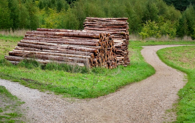 Madera de madera al aire libre en la zona rural de Dinamarca