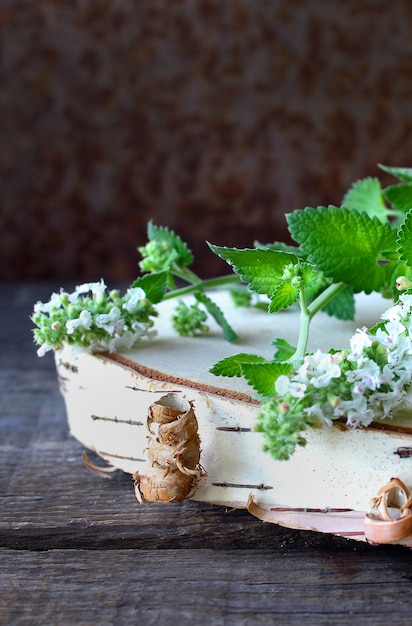 Madera de menta verde