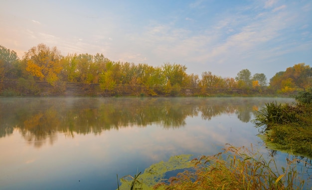 Madera de otoño en la orilla del río