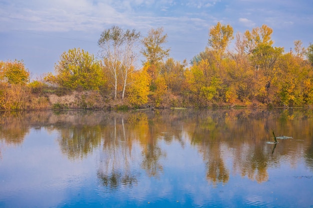 Madera de otoño en la orilla del río