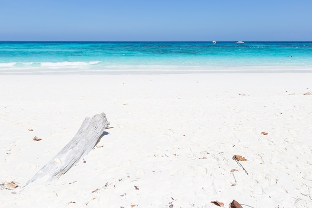 Foto madera en la playa.