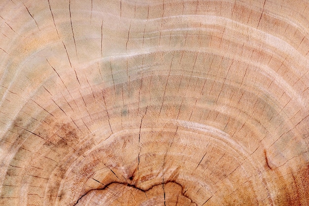 madera de textura de fondo