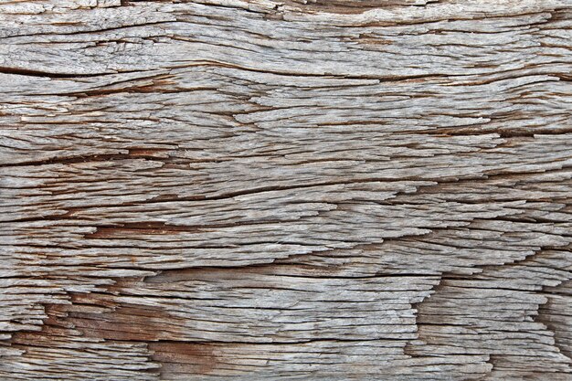 madera de textura de fondo