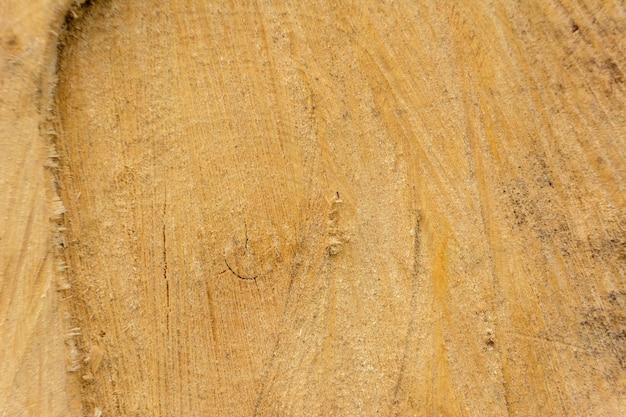 Madera de tronco de anillo de árbol. Textura orgánica natural con superficie agrietada y rugosa. Vista macro de primer plano de la sección de árbol de madera cortada al final con grietas. Superficie de madera con anillos anuales.