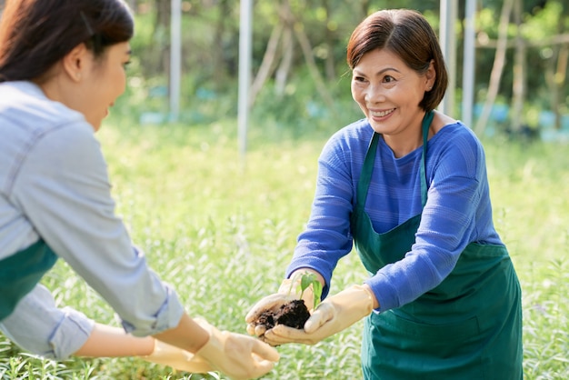 Madre y dauhter juntos de jardinería