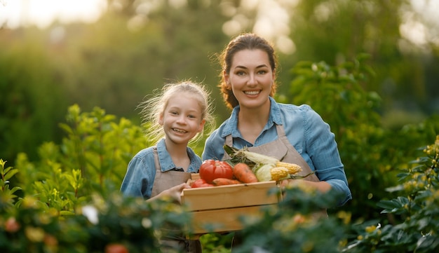 Madre e hija felices jardinando en el jardín orgánico del patio trasero Niño y madre recogiendo verduras