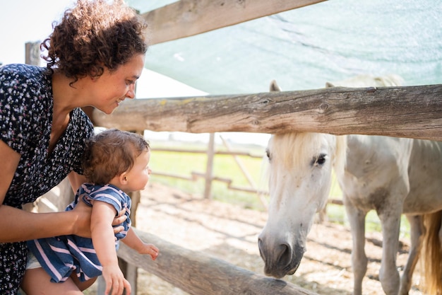 Madre e hijo mirando un caballo blanco a través de las cercas de un establo al aire libre