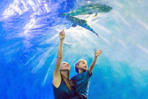 Madre e hijo mirando peces en un acuario de túnel.