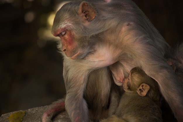 Madre e hijo