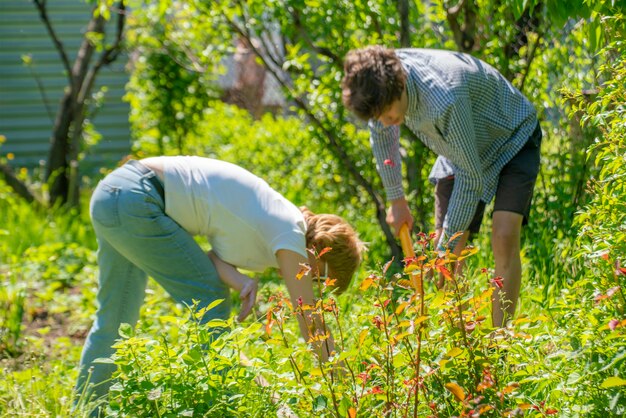 La madre de la familia od y su hijo trabajan en el patio trasero de su cabaña de primavera usando toolss