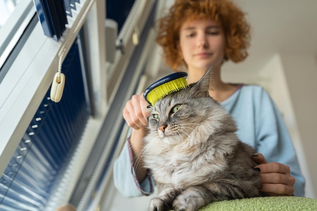 La madre gato cepilla a su mascota peluda