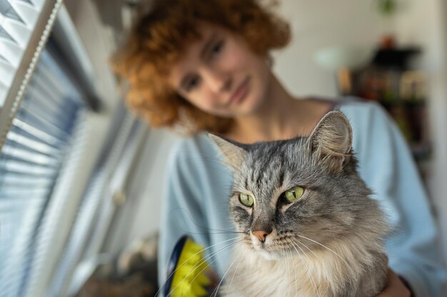 La madre gato cepilla a su mascota peluda