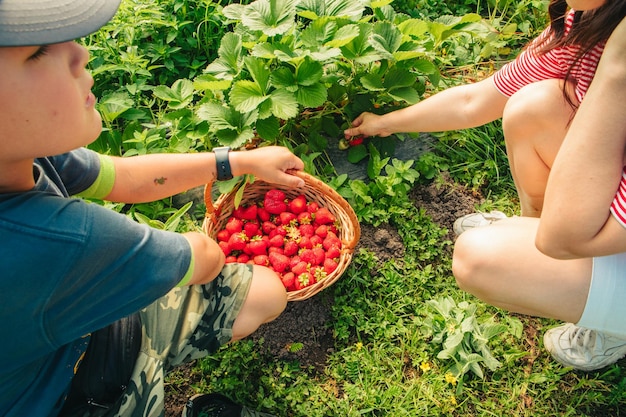 Madre con hijo en la granja de fresas