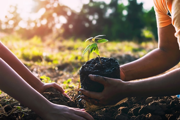 Madre con hijos ayudando a plantar árboles en la naturaleza para salvar la tierra. concepto de medio ambiente eco