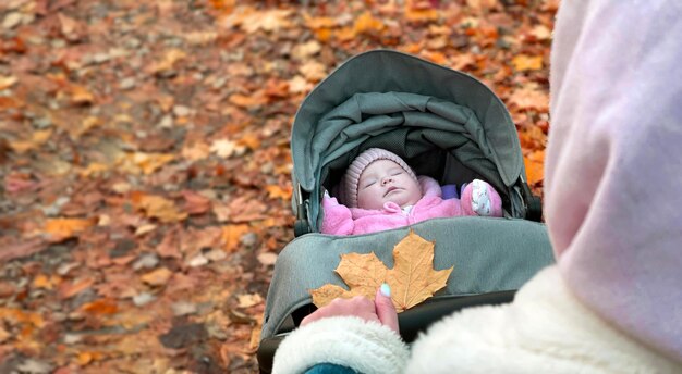 Una madre joven caminando con su bebé en un cochecito en el parque de otoño