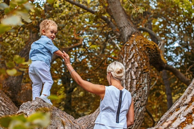 Madre jugando con su hijo en un árbol en el parque.